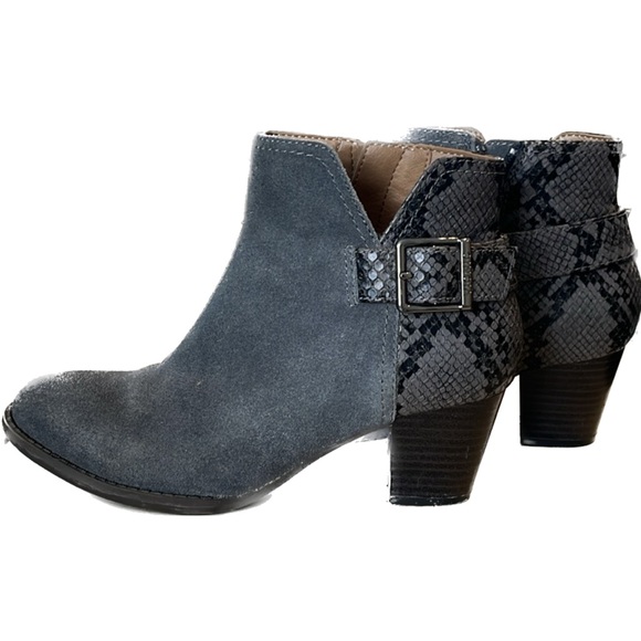 Gray Suede Zip up bootie and buckle .Naomi Snake - Picture 1 of 6
